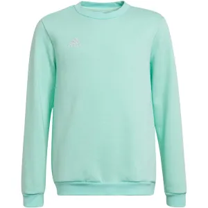 Adidas Entrada 22 Sweat Top Mint Hc5042 152Cm