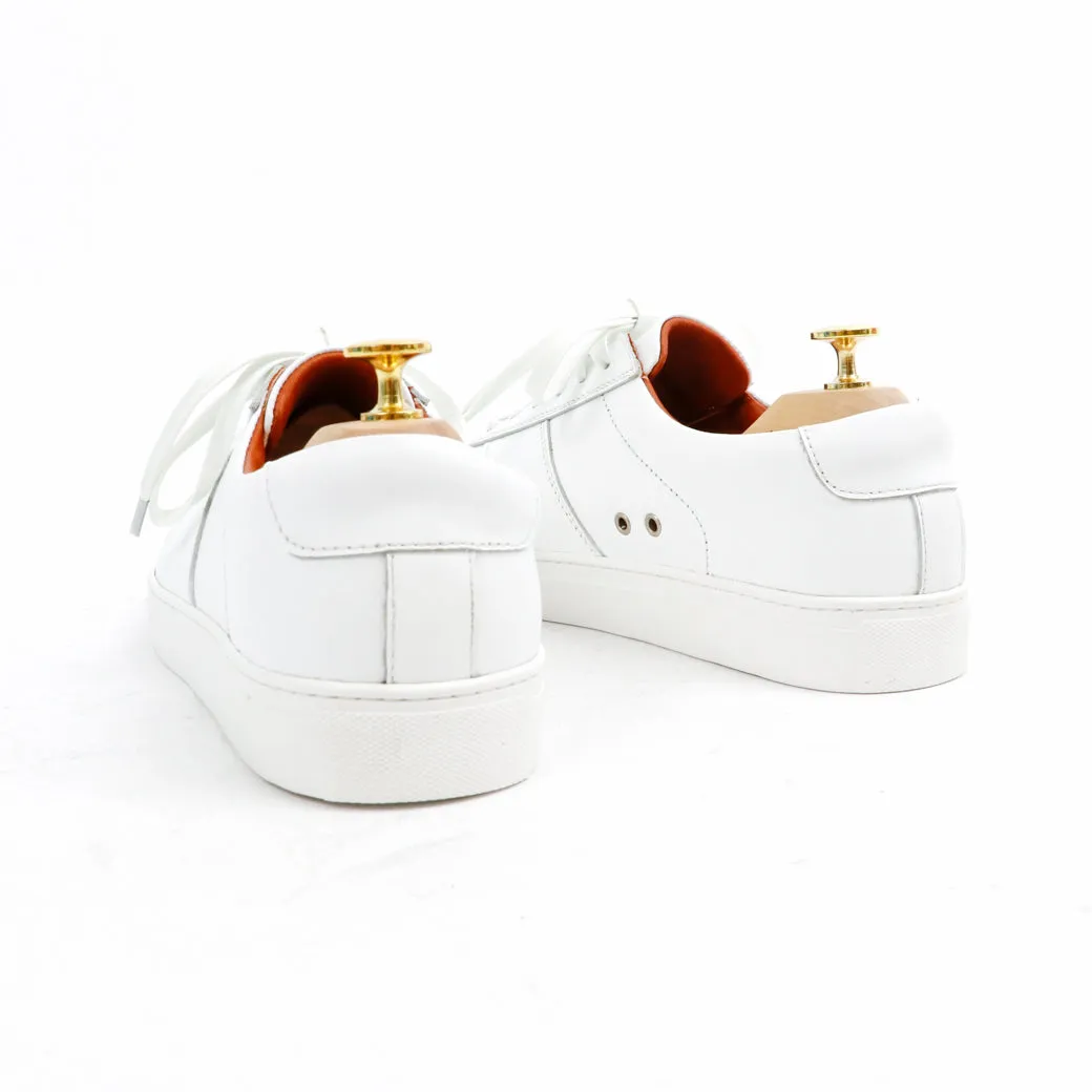 Scottie Sneaker White